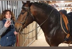 Manuela Lopez Instagram - Un petit Coucou pendant mes petits moments de mieux , ma médication préférée , mon Kiri 🦄💙, mon cheval magique qui prend soin de moi , m’aide psychologiquement et physiquement.. Ce don, cet instinct qui fait l’empathie et la douceur animale sans chichi juste bienveillance.. C’est dingue ce que les animaux peuvent nous offrir avec leur cœur quand ils nous sentent fébrile.. #monbonheur #cheval #happymoments