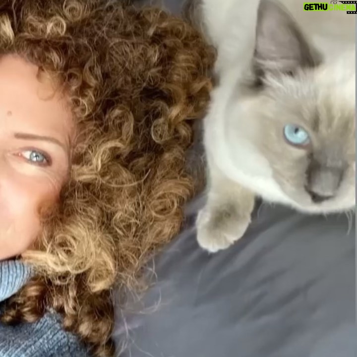 Manuela Lopez Instagram - Méditation guidée assistée 😻🙏...Ça vous dit une méditation de relaxation et réconfort ?#prenezsoindevous