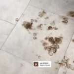 Manuela Lopez Instagram - Je fais c’que j’veux avec mes cheveux !! Parce que je le vaux bien .. #onvitquunefois #pleinedevie