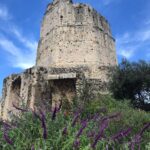 Manuela Velasco Instagram - Ces jours heureux à Nîmes 🇫🇷❤️ #Nîmes #occitanie #surdefrancia #maisoncarrée #lesarenesdenimes #laarenadenimes #torremagna #jardindelafontaine #lecieldenîmes #festivalfilmspagnol Nîmes Centre Ville