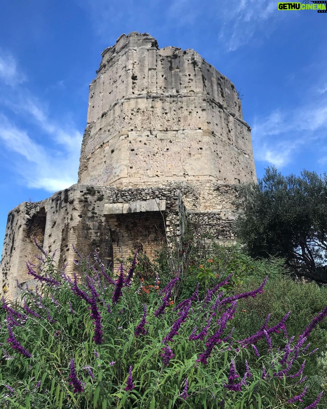 Manuela Velasco Instagram - Ces jours heureux à Nîmes 🇫🇷❤️ #Nîmes #occitanie #surdefrancia #maisoncarrée #lesarenesdenimes #laarenadenimes #torremagna #jardindelafontaine #lecieldenîmes #festivalfilmspagnol Nîmes Centre Ville
