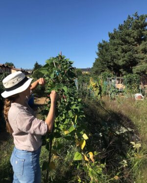 Manuela Velasco Instagram - Aquí seguimos, pasando el verano. 
Verano de judías, gallinas, pan candeal, tortilla de patatas, siestas, hamaca, parra, paseos, baños y tábanos. Verano en casa. Tan ricamente.
Peeeeeeero también seguir abriendo cajas y enfrentando cosas y el mundo de tirar, donar, ordenar. 
Repasar la vida. Y desprenderse. ¡Ay!
Purgatorio para mí.
Y también trabajándome el repelús a las arañas, en casa hay muchas y estoy en ello. Pienso que comen mosquitos y pulgas y eso está bien. Y las dejo y ellas me dejan. Pero ¡ay, qué fatiguitas!
Y cuando no puedo más me voy a pasear y a jugar con Colin y mano de santo.
#bordercollie #bordercollielovers #verano2023