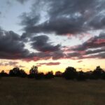 Manuela Velasco Instagram - Aquí seguimos, pasando el verano. Verano de judías, gallinas, pan candeal, tortilla de patatas, siestas, hamaca, parra, paseos, baños y tábanos. Verano en casa. Tan ricamente. Peeeeeeero también seguir abriendo cajas y enfrentando cosas y el mundo de tirar, donar, ordenar. Repasar la vida. Y desprenderse. ¡Ay! Purgatorio para mí. Y también trabajándome el repelús a las arañas, en casa hay muchas y estoy en ello. Pienso que comen mosquitos y pulgas y eso está bien. Y las dejo y ellas me dejan. Pero ¡ay, qué fatiguitas! Y cuando no puedo más me voy a pasear y a jugar con Colin y mano de santo. #bordercollie #bordercollielovers #verano2023