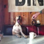 Manuela Velasco Instagram - ☕️ De @thiswildidea