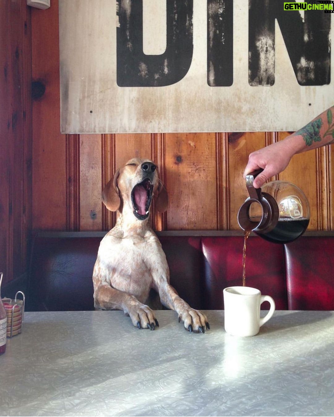 Manuela Velasco Instagram - ☕️ De @thiswildidea