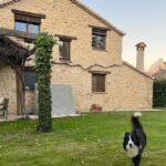 Manuela Velasco Instagram - Gustor 🏡 Borreguito calentito. Gallinas felices, huevos que son tocino de cielo. Colin y su palo y su rebaño. El huerto de la cabaña en invierno. Estudio Albee al amor del fuego y de Colin.