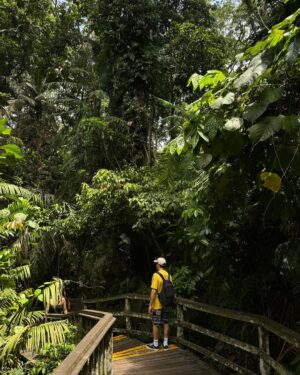 Marc Márquez Instagram - Ubud🐒