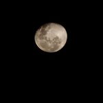 Marcell Siahaan Instagram - Our last evening in Bali, along with this beautiful Moon. Rest well, everyone. Wherever you are now. #samsungs23 Canna Bali