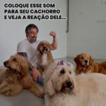 Marcos Mion Instagram - NÃO ASSISTA A ESSE VÍDEO NA FRENTE DO SEU DOGUINHO! 😂😍🐶 . Não tem jeito! Não tem um doguinho que não reaja!🤣