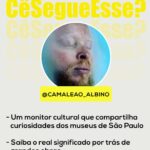 Marcos Mion Instagram - VOCÊ JÁ CONHECE ESSES PERFIS? ⤵️🤔🔍 💥Tainá Moser (@falailibras): você sabe o que é CODA? É uma palavra que identifica pessoas que são filhos de pais surdos - Children Of Deaf Adults - que é o caso dessa criadora de conteúdo. Ela conta que aprendeu Libras antes mesmo do português e em seu perfil, ensina a língua e também traz curiosidades, criando igualdade e inclusão. 💥 Hildon de Melo (camaleao_albino): ele é professor de filosofia, escritor e monitor cultural. Atualmente ele faz parte de um grupo chamado Parla, que organiza visitas nos principais museus de São Paulo. Ele posta diversos vídeos de suas monitorias em que explica detalhes de quadros e esculturas que vão te dar um contexto histórico único. 💥 Fil Felipe (@filfelipe): até quem não é sneakerhead vai curtir esse perfil! Aqui, esse colecionador de sneakers usa o seu talento na fotografia pra fazer belas fotos e composições, sempre colocando os mais incríveis modelos como protagonistas. Além das fotos, nas legendas você entende mais sobre os detalhes do sneaker em questão. Agora é a sua vez! Corre nos comentários pra indicar um perfil com até 250K de inscritos para aparecer nas próximas edições 👇