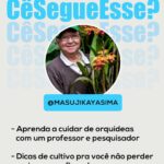Marcos Mion Instagram - ESSES AQUI VOCÊ PRECISA CONHECER! 👇😉 São perfis criativos e informativos selecionados pelo #TimeMionzera e que vão diversificar o seu feed: 💥 Melissa Jones (@pancreasdemel): a Mel é uma estudante de medicina mineira que tem diabetes tipo 1 e é uma surda que ouve desde os 12 anos. Ela usa aparelho auditivo, mas não escuta alguns tipos de sons, principalmente os mais agudos. Ela mostra de um jeito leve e informativo como é conviver com essas condições, além da rotina como estudante. 💥 Ser Curioso (@sercurioso): a cada postagem, uma curiosidade de história, ciência e assuntos aleatórios. Você vai poder acompanhar fatos que aconteceram em determinadas datas e que mudaram o curso da humanidade para sempre! Em meio a esse conteúdo, também postam frases de pessoas famosas que vão te inspirar. 💥 Masuji Kayasima (@masujikayasima): se você não sabe mais o que fazer para não matar as suas orquídeas, esse é o perfil ideal! O Sr. Masuji é um premiado professor e pesquisador de plantas há mais de 65 anos. Ele faz um conteúdo informativo e muito único de como cuidar de orquídeas. São diversas dicas fáceis e simples que vão fazer toda a diferença! Agora marque nos comentários um perfil, com até 250K de seguidores, que merece aparecer aqui nas próximas semanas! ⬇️