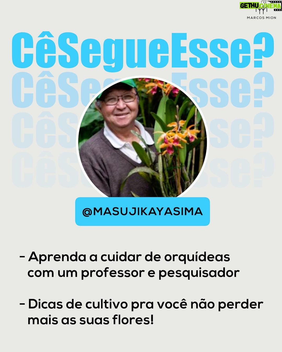 Marcos Mion Instagram - ESSES AQUI VOCÊ PRECISA CONHECER! 👇😉 São perfis criativos e informativos selecionados pelo #TimeMionzera e que vão diversificar o seu feed: 💥 Melissa Jones (@pancreasdemel): a Mel é uma estudante de medicina mineira que tem diabetes tipo 1 e é uma surda que ouve desde os 12 anos. Ela usa aparelho auditivo, mas não escuta alguns tipos de sons, principalmente os mais agudos. Ela mostra de um jeito leve e informativo como é conviver com essas condições, além da rotina como estudante. 💥 Ser Curioso (@sercurioso): a cada postagem, uma curiosidade de história, ciência e assuntos aleatórios. Você vai poder acompanhar fatos que aconteceram em determinadas datas e que mudaram o curso da humanidade para sempre! Em meio a esse conteúdo, também postam frases de pessoas famosas que vão te inspirar. 💥 Masuji Kayasima (@masujikayasima): se você não sabe mais o que fazer para não matar as suas orquídeas, esse é o perfil ideal! O Sr. Masuji é um premiado professor e pesquisador de plantas há mais de 65 anos. Ele faz um conteúdo informativo e muito único de como cuidar de orquídeas. São diversas dicas fáceis e simples que vão fazer toda a diferença! Agora marque nos comentários um perfil, com até 250K de seguidores, que merece aparecer aqui nas próximas semanas! ⬇️