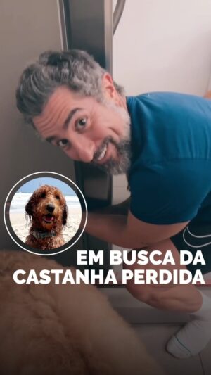 Marcos Mion Instagram - Em busca da castanha perdida! 🌰 
.
#jeitinhobrasileiro 😅
