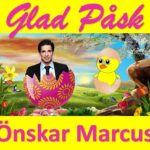 Marcus Oscarsson Instagram - 💛 🐣 GLAD PÅSK 🐣 💛 Jag hoppas att ni alla får en skön och avkopplande påskhelg med nära & kära, Janssons frestelse, lax, påskgodis och många ägg. Jag har påskledigt i morgon lördag men är tillbaka i TV4 nästa lördag 15 april med Marcus Svarar & Förklarar som vanligt (och redan på onsdag morgon runt 7-snåret). Ha en underbar påskhelg! 🥚🐔🥚