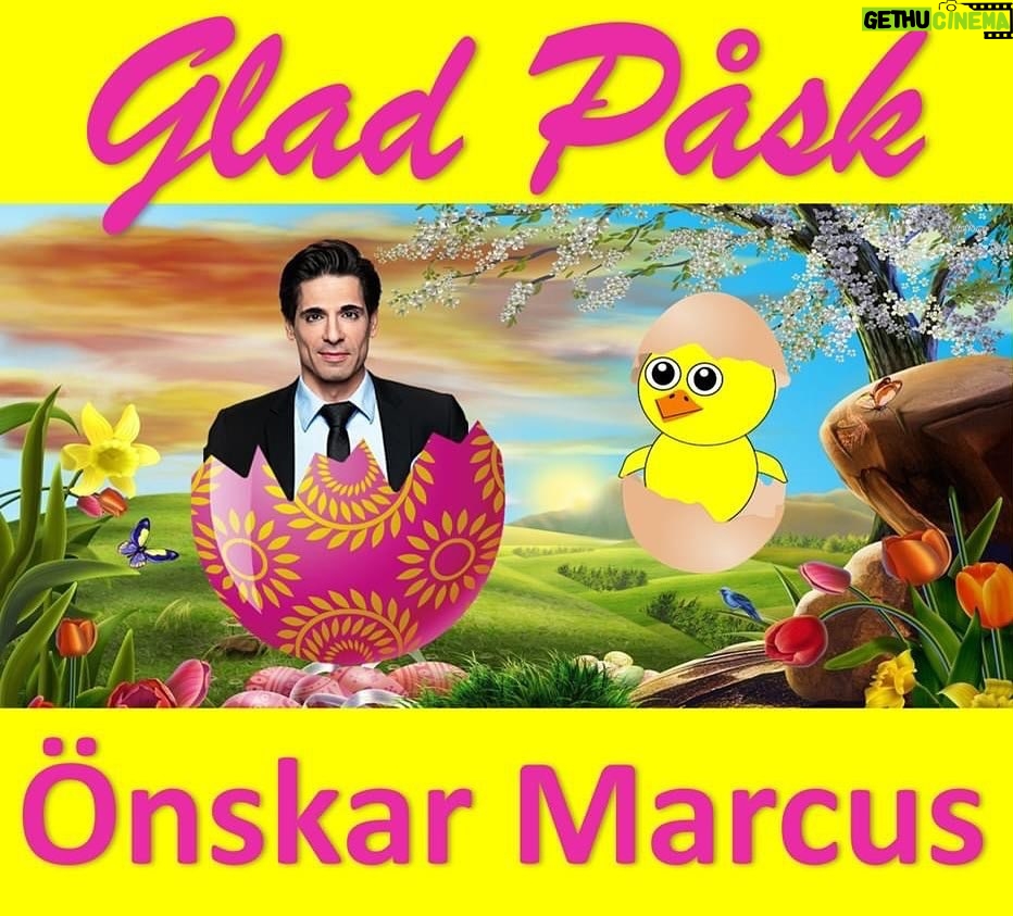 Marcus Oscarsson - 3.2K Likes - 💛 🐣 GLAD PÅSK 🐣 💛
Jag hoppas att ni alla får en skön och avkopplande påskhelg med nära & kära, Janssons frestelse, lax, påskgodis och många ägg.
Jag har påskledigt i morgon lördag men är tillbaka i TV4 nästa lördag 15 april med Marcus Svarar & Förklarar som vanligt (och redan på onsdag morgon runt 7-snåret).
Ha en underbar påskhelg! 🥚🐔🥚