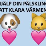 Marcus Oscarsson Instagram - VIKTIGT ATT SKYDDA VÅRA FYRBENTA VÄNNER Det kommer nu in rapporter om hundar och katter som lidit i värmen då ägarna inte tänkt på att det krävs extra omvårdnad när det är sommar och varmt. Om en hund eller katt överhettas kan dess sista stund vara kommen så att skydda våra pälsklingar från värmen är livsviktigt. Här är några tips som samlats in och bl a kommit från många av er följare genom åren. Skriv gärna egna tips i kommentarsfältet. Hundar (gäller ofta även katter) ✅ Hunden ska ha tillgång till färskt vatten ✅ Lämna inte hunden ensam i bilen ✅ Hunden bör vara i skuggan om den är utomhus ✅ Köp en kyldyna till din hund ✅ Var extra försiktig med gamla, sjuka och trubbnosiga hundar ✅ Längre promenader ska ske sena kvällar eller tidiga morgnar ✅ Tänk på att asfalt kan skada hundens tassar ✅ Det kan bli väldigt varmt på bussar och tåg mm ✅ Även hundar kan bränna sig i solen, så var försiktig ✅ Duscha hunden med svalt vatten. Glöm inte tassarna och ljumskarna. Många av hundtipsen gäller även katter. Men här är några särskilda tips till katter: ✅ Ge extra blötmat då många katter annars får i sig för lite vatten ✅ Blöt en handduk och lägg på katten för att sänka kroppstemperaturen ✅ Placera ut ett par extra skålar vatten ✅ Prova med kylklampar under kattens filt ✅ Strö kattmynta över isbitar som katten kan slicka på ✅ Borsta bort överskottshår