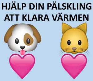 Marcus Oscarsson Instagram - VIKTIGT ATT SKYDDA VÅRA FYRBENTA VÄNNER

Det kommer nu in rapporter om hundar och katter som lidit i värmen då ägarna inte tänkt på att det krävs extra omvårdnad när det är sommar och varmt. Om en hund eller katt överhettas kan dess sista stund vara kommen så att skydda våra pälsklingar från värmen är livsviktigt. Här är några tips som samlats in och bl a kommit från många av er följare genom åren. Skriv gärna egna tips i kommentarsfältet.

Hundar (gäller ofta även katter)
✅ Hunden ska ha tillgång till färskt vatten
✅ Lämna inte hunden ensam i bilen
✅ Hunden bör vara i skuggan om den är utomhus
✅ Köp en kyldyna till din hund
✅ Var extra försiktig med gamla, sjuka och trubbnosiga hundar
✅ Längre promenader ska ske sena kvällar eller tidiga morgnar
✅ Tänk på att asfalt kan skada hundens tassar
✅ Det kan bli väldigt varmt på bussar och tåg mm
✅ Även hundar kan bränna sig i solen, så var försiktig
✅ Duscha hunden med svalt vatten. Glöm inte tassarna och ljumskarna.

Många av hundtipsen gäller även katter. Men här är några särskilda tips till katter:
✅ Ge extra blötmat då många katter annars får i sig för lite vatten
✅ Blöt en handduk och lägg på katten för att sänka kroppstemperaturen
✅ Placera ut ett par extra skålar vatten
✅ Prova med kylklampar under kattens filt
✅ Strö kattmynta över isbitar som katten kan slicka på
✅ Borsta bort överskottshår