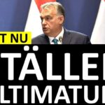 Marcus Oscarsson Instagram – KONTROVERSIELLT UTTALANDE: VIKTOR ORBAN STÄLLER ULTIMATUM 

✅ Läs genom att klicka på mitt namn ovanför bilden och sen den blå länken.⁣⁣⁣⁣⁣⁣⁣⁣⁣⁣⁣⁣⁣⁣⁣

✅ Eller gå direkt in på marcusoscarsson.se