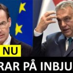 Marcus Oscarsson Instagram - JUST NU: EFTER ORBANS INBJUDAN – NU SVARAR STATSMINISTERN ✅ Läs genom att klicka på mitt namn ovanför bilden och sen den blå länken.⁣⁣⁣⁣⁣⁣⁣⁣⁣⁣⁣⁣⁣⁣⁣ ✅ Eller gå direkt in på marcusoscarsson.se