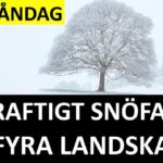 Marcus Oscarsson Instagram – MÅNDAG: KRAFTIGT SNÖFALL I FYRA LANDSKAP

✅ Läs genom att klicka på mitt namn ovanför bilden och sen den blå länken.⁣⁣⁣⁣⁣⁣⁣⁣⁣⁣⁣⁣⁣⁣⁣

✅ Eller gå direkt in på marcusoscarsson.se