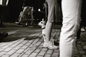 Marek Adamczyk Instagram - Chtěl bych moc poděkovat @kviff za pozvání! Letos jsem snad neviděl jediný blbý film, tak asi odvedli docela dobrou práci při výběru. Až něco z festivalu probublá do kin, neváhejte jít na cokoli:) A nemám moc fotek, já na to nějak neměl čas, tak aspoň pár kousků. Černobílejch, aby bylo jasný, že to byl artovej pobyt. Skvěle se tam o nás postarali, mohli jsme ukázat lidem @poslednizavod, potkat kamarády a občas se někde zadarmo najíst:) A taky moc děkuju Karlovarské nemocnici, že se postarali o můj prst, ze kterého se stal během festivalu velmi zanícený filmový fanoušek.