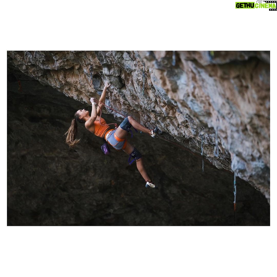 Margo Hayes Instagram - daydreaming of unfinished business 🤎 photo by lovely @tarakerzhner @thenorthface @thenorthface_climb @petzl_official @lasportivana @frictionlabs