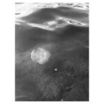 Margo Hayes Instagram - once upon a time in mallorca ♡︎ forever fascinated by the ocean’s little creatures