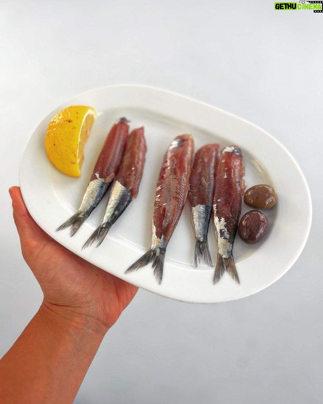 Maria Jekova Instagram - Само тук. Sardella Kallonis. “Kalloni Sardines are a type of small, oily fish that are found in the Aegean Sea, particularly around the island of Lesvos. These sardines are known for their distinct flavor and tender texture.” Ние ги опитахме като мезе към узото. Могат да бъдат консервирани в сол, пушени или като тези на снимката - сурови, само след четиричасов предстои в сол. От водите около острова в чинията. Plomari,Lesvos Greece