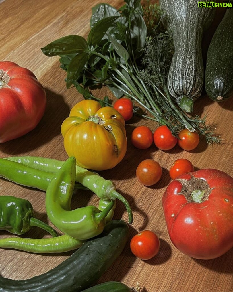 Maria Jekova Instagram - Вари го, печи го - да си откъсна зеленчуци от градината - остава си едно от най-великите вълнения. Родопи (Rhodope)