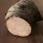 Maria Jekova Instagram – Colocasia Esculenta или по-точно част от нейния масивен корен. Кореноплодно, използвано от XVII век до днес, като основна въглехидратна храна на Азорските острови, след като пристига тук от своята родина – Азия. Счита се, че това растение е един от първите видове – “опитомени” и отглеждани умишлено от човека. Опитахме го веднъж в малък местен ресторант и беше доста приятно приготвено, доста нежни, ненатрапчиви вкус и текстура, различни от тези на картофа и други познати кореноплодни. Вече се сдобих с корена от съседа тук, който просто влезе на 10 метра в гората и го донесе, защото растението е буквално навсякъде около нас. Утре ще се предизвикам да го приготвя за вечеря в каменната къща. The Azores, Atlantic Ocean