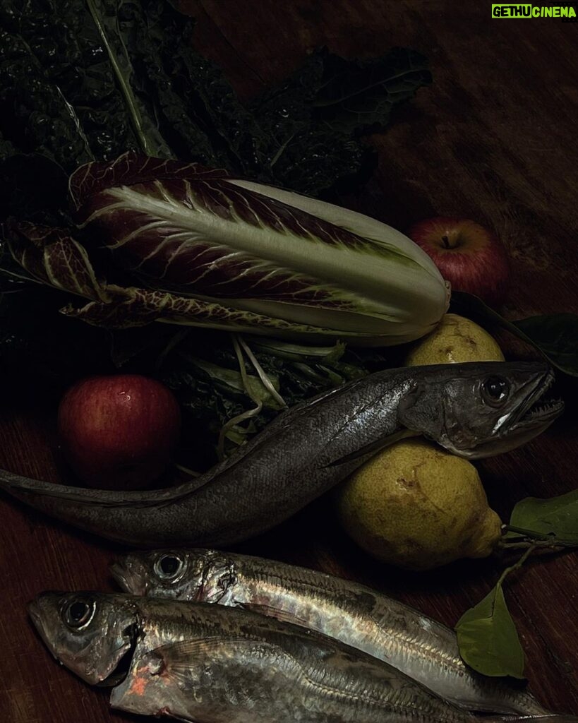 Maria Jekova Instagram - Вчера в галерията във Ватикана, най-впечатляващи за децата бяха натюрмортите с хранителни продукти, сцените на отрупани кухненски маси с яребици, патици и фазани след лов или някак красиво подредените, съвършено осветени, късове месо, риба, вътрешности дори, плодове и зеленчуци. Сурова реалност, която изглежда така красиво в своята истина. Вдъхновени от този нов поглед и след пазар за продукти за нашите вечери тук - с уважение и благодарност към храната - заедно създадохме наша картина, която запечатахме фотографски. След това заедно ще приготвим вечеря със същите продукти и мисля си по този начин храната в чинията ще придобие съвсем друг смисъл. На изкуство, чудо, дар. На онова, което свързва всички хора по света и тези от всички епохи. Rome, Italy