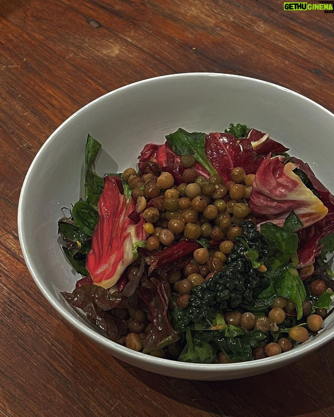Maria Jekova Instagram - Boiled roveja, radicchio, cavolo nero, valeriana. EVO, mustard, honey, lemon, salt. Rome, Italy