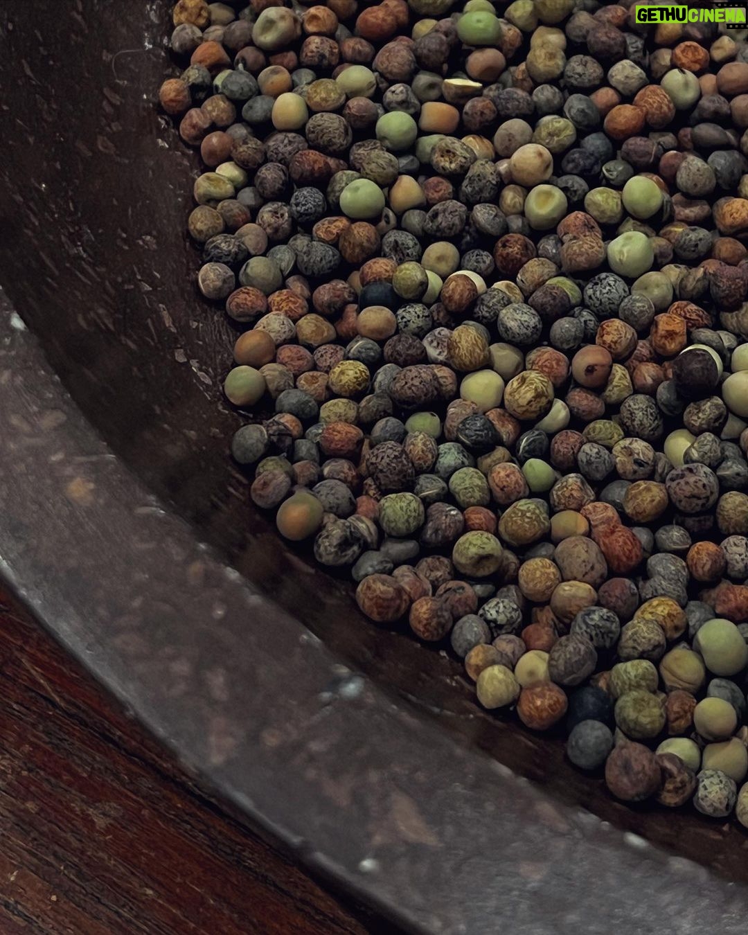 Maria Jekova Instagram - Roveja. Legumes from the Neolithic period. Rome, Italy