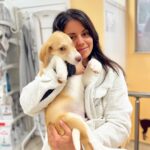 Maria Jekova Instagram - ВАЖНО! Последна стъпка към щастливата развръзка на този разказ за изхвърлени кучета и добри хора. Приятели, не искам да вярвам, че хората сме повърхностни и затова пиша отново с голяма молба да разкажете за малкия Пират, и да ми помогнете да намеря неговите. Знам, че липсата на едно оченце - няма да попречи на това невероятно кученце да намери своето семейство. За него се грижат прекрасни хора в клиника в София, защото не си представях да го оставя сам в планината, след като осиновиха другите, ваксиниран и напълно здрав е. Аз, разбира се, подарявам на осиновителите преживяване в Силивряк за благодарност. Моля ви, нека покажем, че външния вид няма значение за обичта, отворените обятия и сърце. Пират е разкошен и е храбър! Да му дадем шанс. Благодаря ви! Sofia, Bulgaria