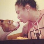 Maria Spiro Instagram - sharing is caring. #ladyandthetramp #imthetramp #chickennuggets #pitbullsofinstagram
