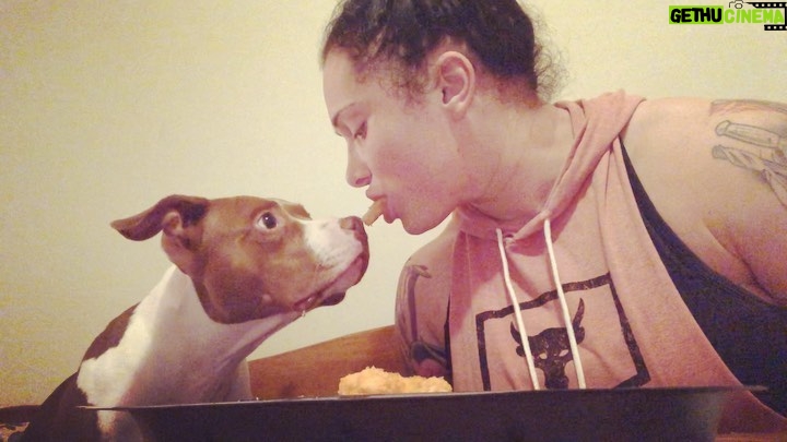 Maria Spiro Instagram - sharing is caring. #ladyandthetramp #imthetramp #chickennuggets #pitbullsofinstagram