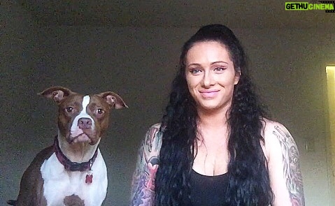 Maria Spiro Instagram - And in this moment we were both searching for a brain cell. I found 2 and she found 1. So together we have a total of 3. That’s enough math for me today. Happy Monday. #pitbullsofig