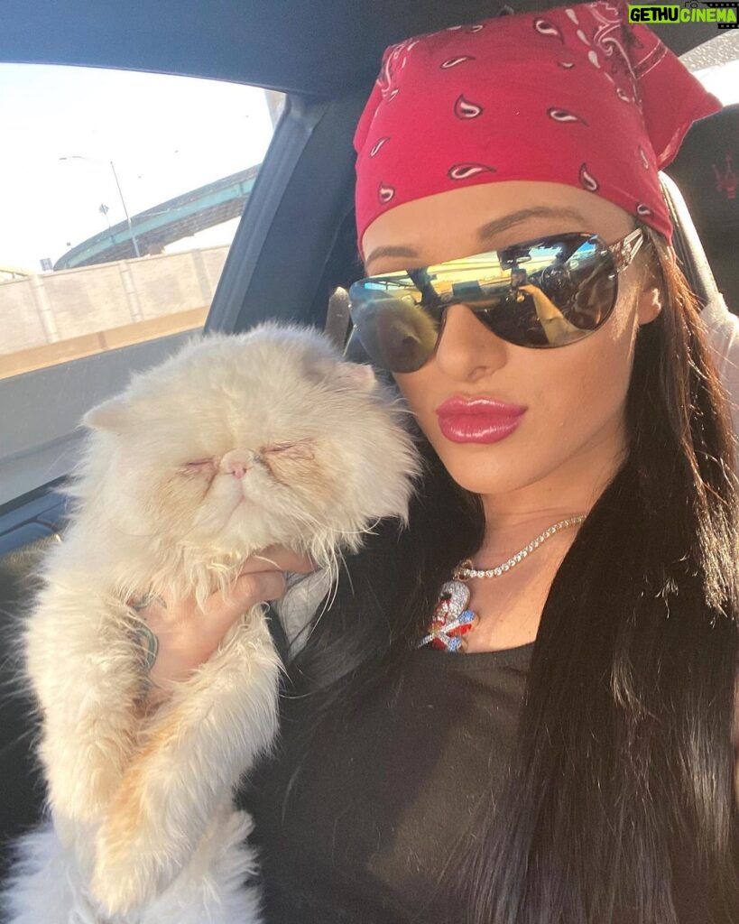 Actress Maria Spiro HD Instagram Photos and Wallpapers January 2020 ...