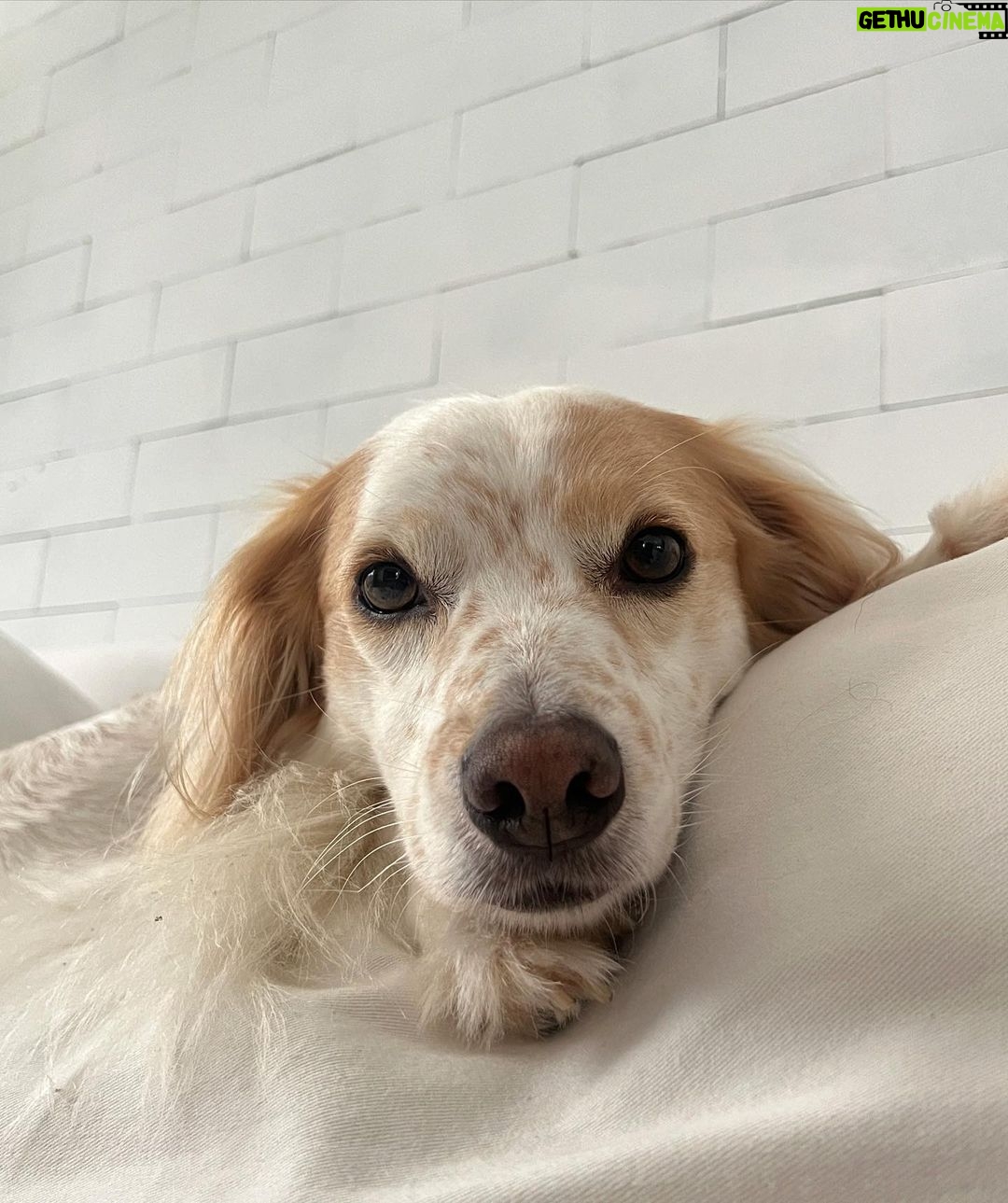 Maria Venture Instagram - as vezes esqueço que o sorriso é a chave Vários Lugares Ao Mesmo Tempo