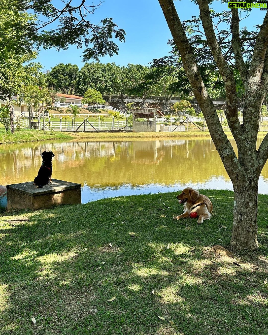 Maria Venture Instagram - sobre o nosso final de semana. sempre bom tirar momentos pra se conectar com as sutilezas da vida que acabam passando despercebidas no nosso dia a dia. obrigada mais uma vez @angatulodge 🤍✨ Atibaia, Sao Paulo, Brazil