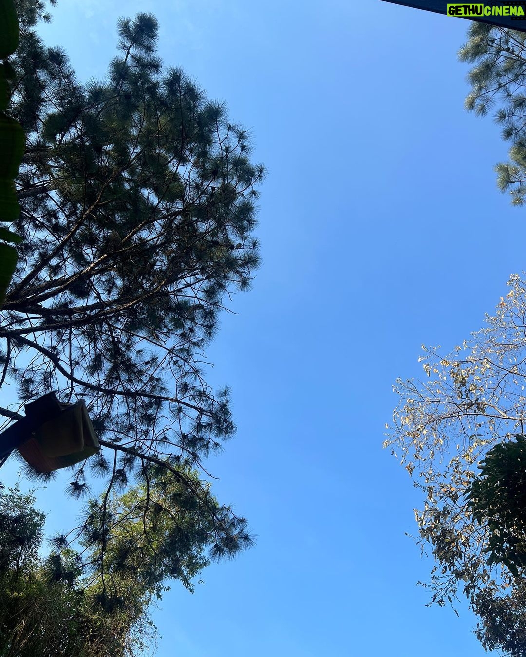 Maria Venture Instagram - sobre o nosso final de semana. sempre bom tirar momentos pra se conectar com as sutilezas da vida que acabam passando despercebidas no nosso dia a dia. obrigada mais uma vez @angatulodge 🤍✨ Atibaia, Sao Paulo, Brazil