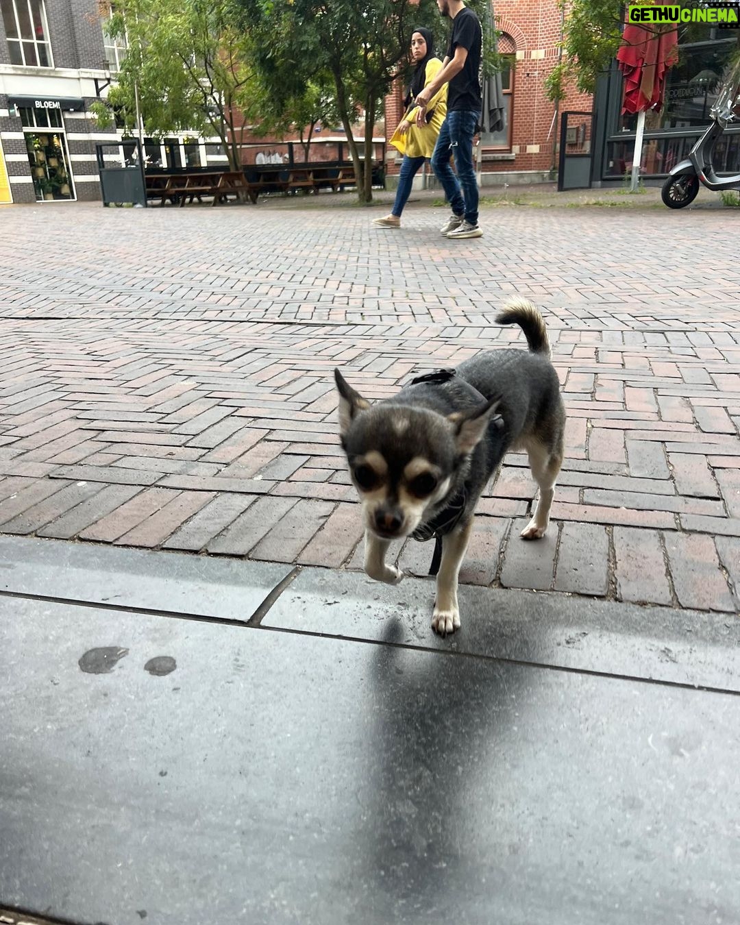 Maria Venture Instagram - eu moraria aqui mesmo sem falar inglês e holandês, juro amigos, isso aqui é um sonho ??????? aaaaaaaa Amsterdam, Netherlands