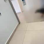 Maria Venture Instagram - oi zenti ieu fui pro mato e cumi um negoço gostoso que nau podia ai depois minha barrega doieu e fiz coco de sangue e tive que ficare varios dias no medico mas ja fui embora de la to muite feliz viu, obrigade todos que gustam de min queria subir no colo de voçes todos o meu ermao antonio ta aqui tamo no sofá