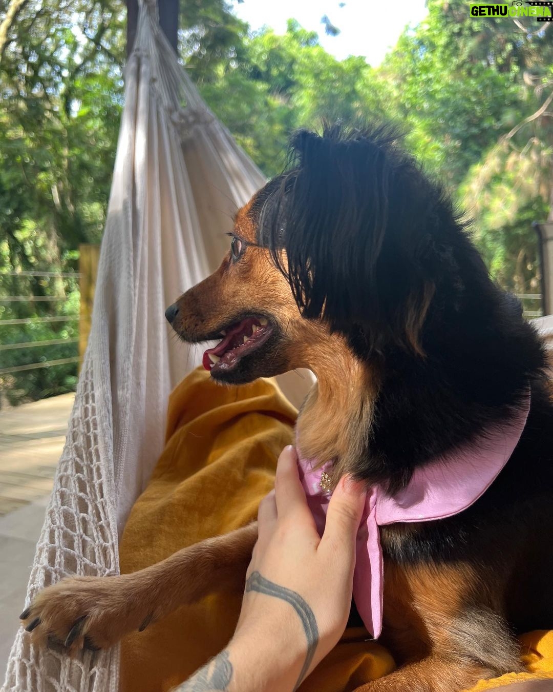 Maria Venture Instagram - viemos os três ficar uns dias no meio do mato 🫶🏻 Meio do mato