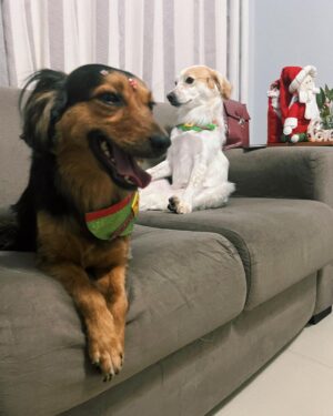 Maria Venture Instagram - meu amor todo é deles. feliz natal, que vocês possam estar junto daqueles que amam de verdade ♥️🎄