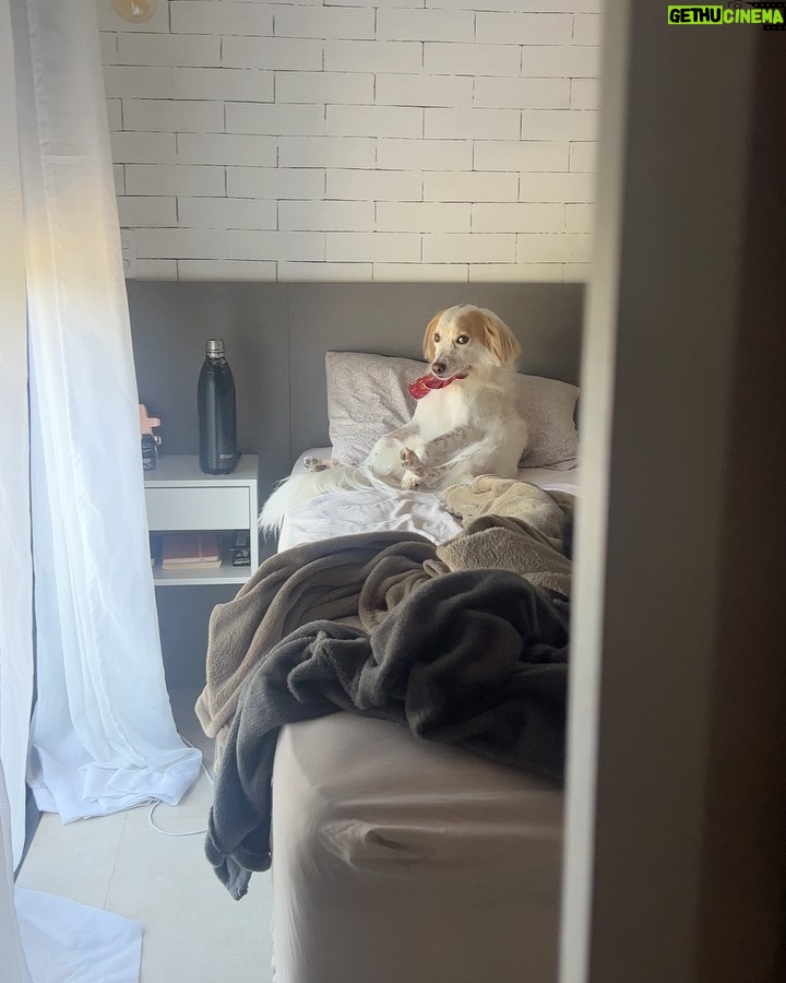 Maria Venture Instagram - dezembro não pegou leve nas emoções sabe……..