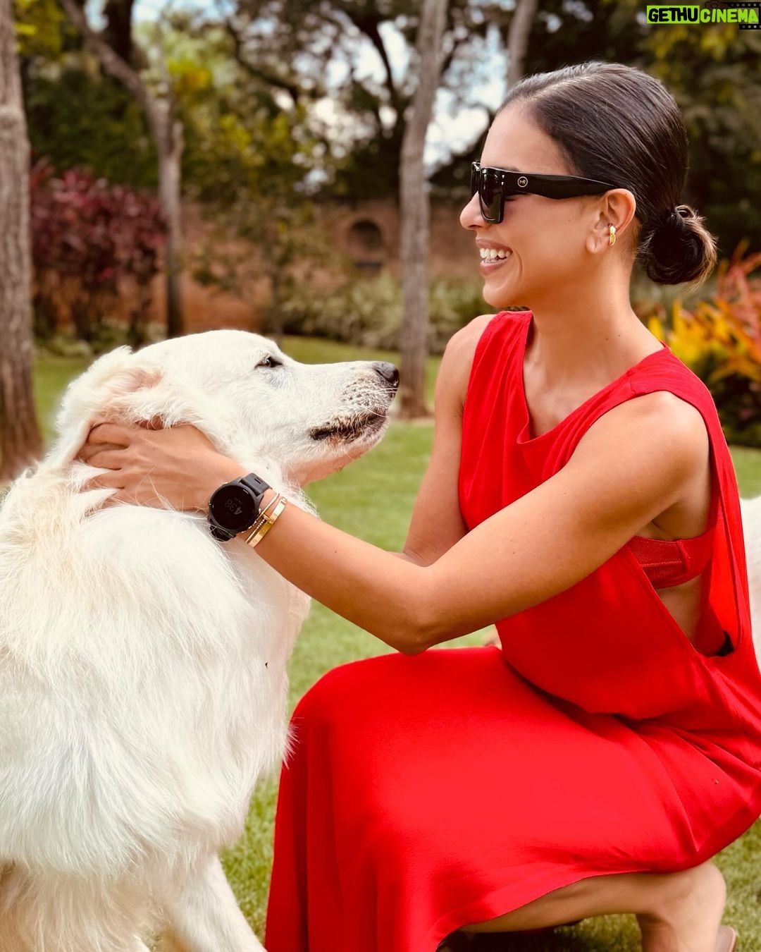 Mariana Rios Instagram - Me lave a alma. Alma leve, levitou. Recicla a energia de dentro pra fora. Alma leve nova. Nova em tudo que restou. Me leve e lave a hora que chegou. Reflita a luz da alma que de tão leve voou... Planou... Pairou. Mariana Rios ❤️✨