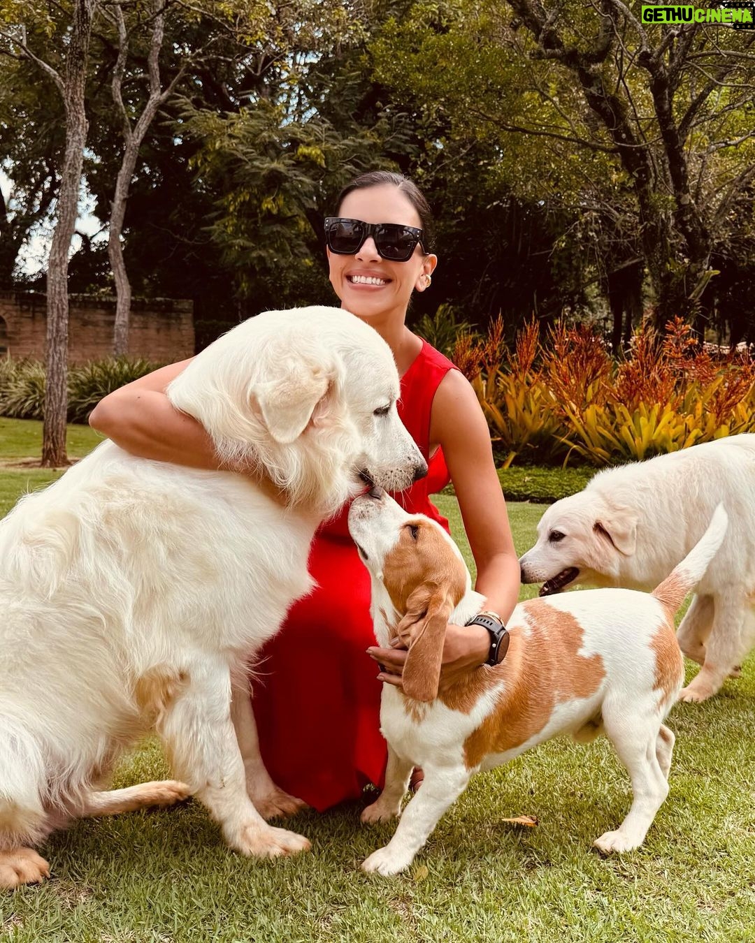 Mariana Rios Instagram - Me lave a alma. Alma leve, levitou. Recicla a energia de dentro pra fora. Alma leve nova. Nova em tudo que restou. Me leve e lave a hora que chegou. Reflita a luz da alma que de tão leve voou... Planou... Pairou. Mariana Rios ❤️✨