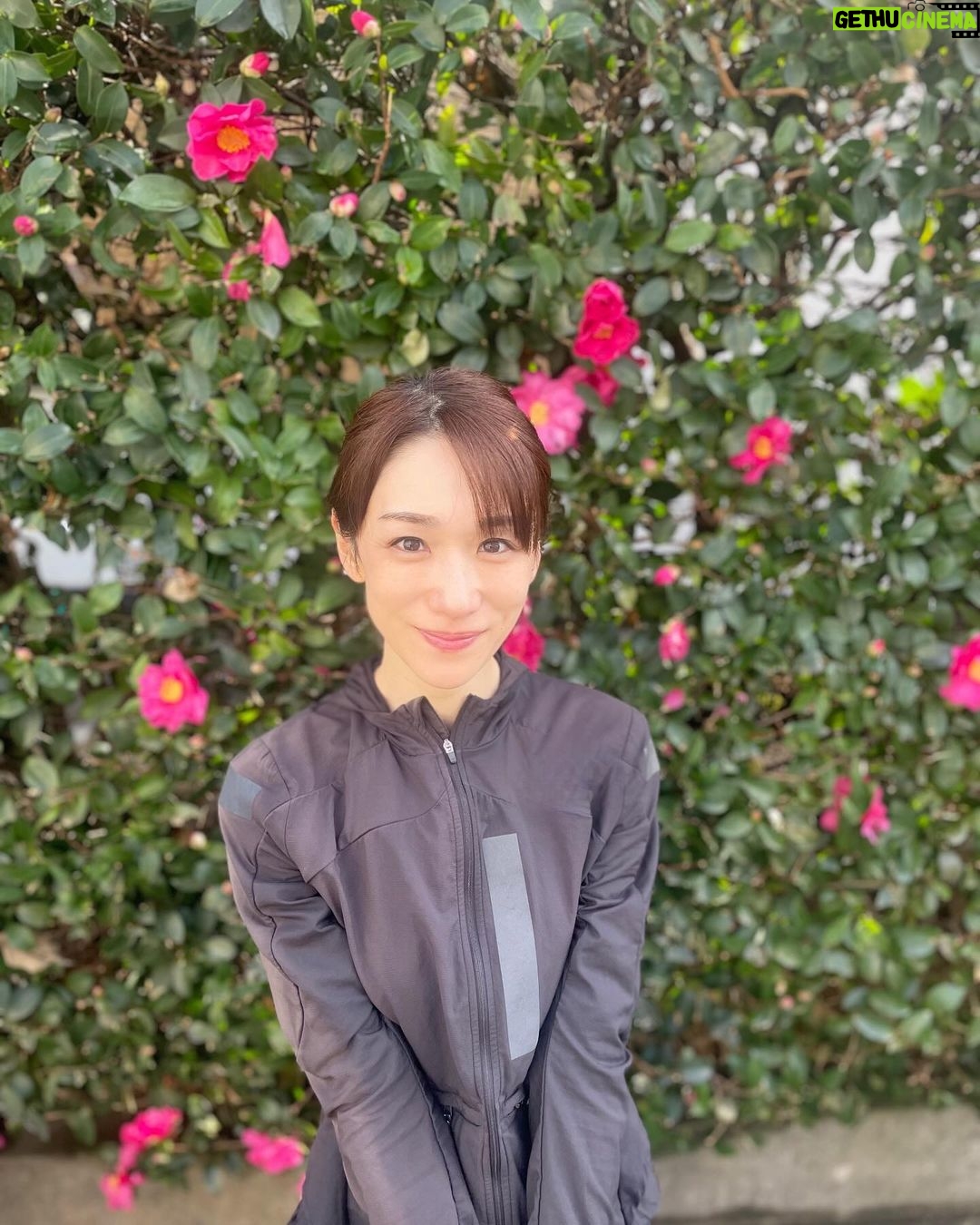 Mariko Dou - 2.4K Likes - 本日、走り納めました🏃♀️
今年の走行距離は1,346km!自分のペースで続けることが出来ました😌
来年も健康に気を付けながら、続けられますように✨
今年もたくさんのコメントをいただき、ありがとございました❣️
皆さま、良いお年をお迎えください✨
#大晦日
#走り納め
#ランニング
#自分
#ペース
#堂真理子 #テレビ朝日 #アナウンサー
#2023 年も
#あともう少し
#良いお年を お迎え下さい
#来年もよろしくお願いします