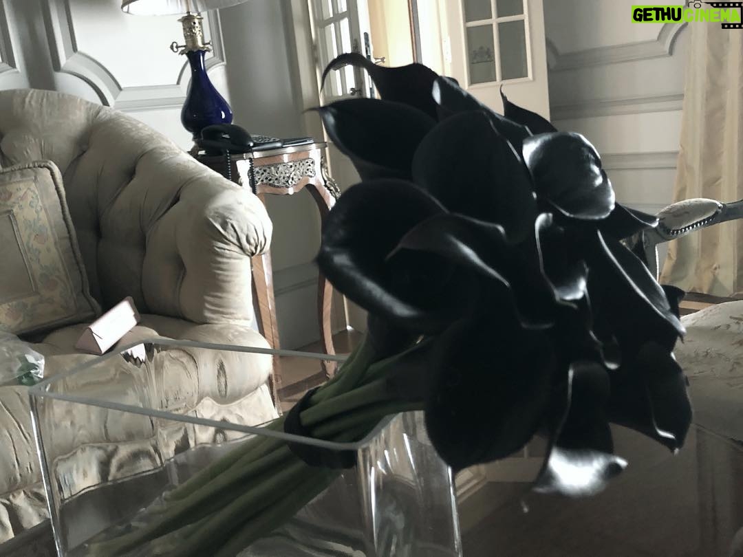 Marilyn Manson Instagram - Les Fleurs du mal